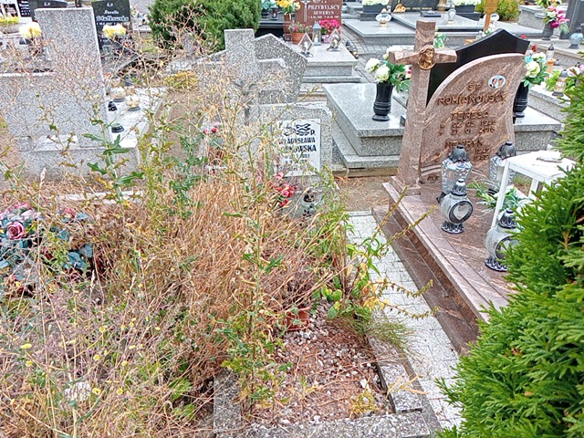 Grób Władysława Sobkowska
