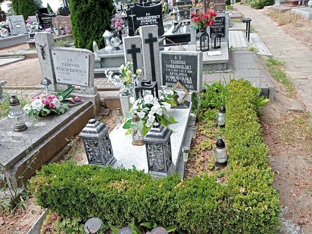 Grób Apolonia Dobrowolska